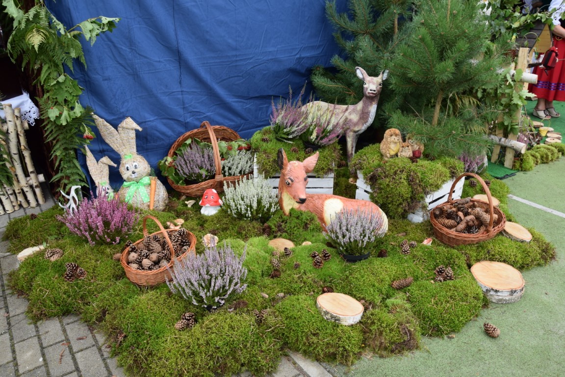DSC_0037.JPG